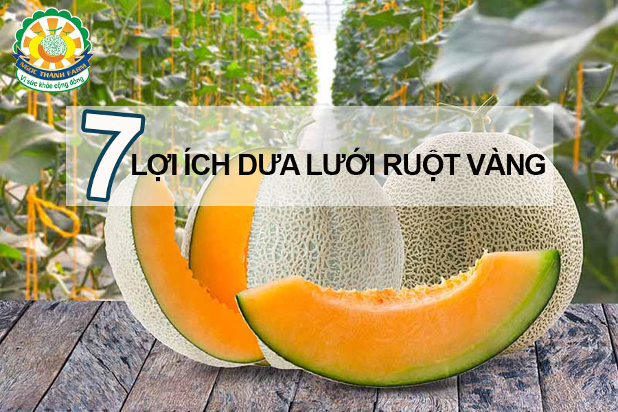 dua-luoi-ruot-vang