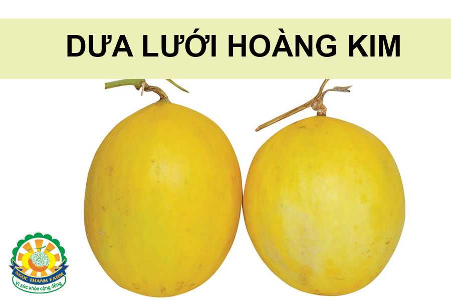 dưa lưới hoàn kim