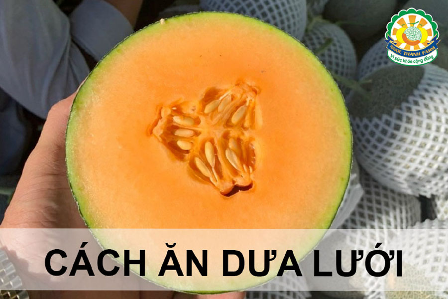 huong-dan-cach-an-dua-luoi-dung-cach