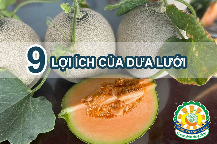 9-loi-ich-cua-dua-luoi