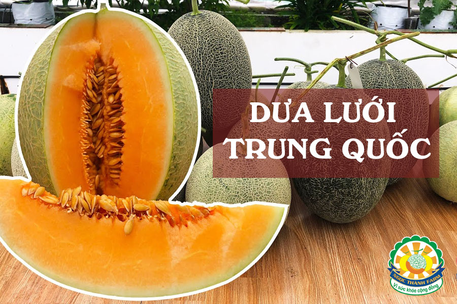 phan-biet-dua-luoi-trung-quoc