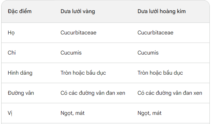 Điểm giống nhau của dưa lưới vàng và dưa lưới hoàng kim