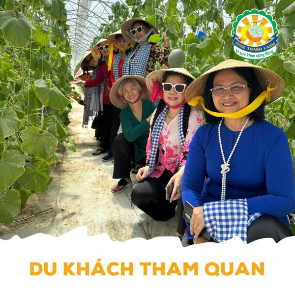 dua-luoi-ngoc-thanh-farm-dich-vu-tham-quan