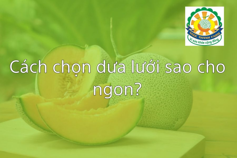 Cách chọn dưa lưới